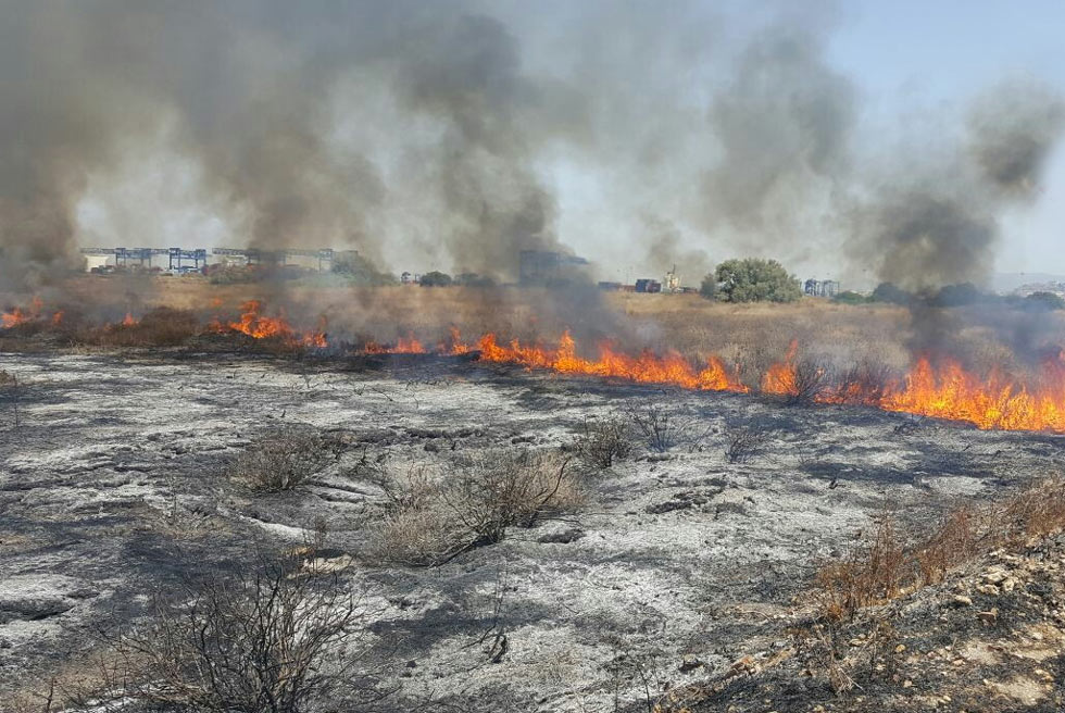 sfalcio erbacce per prevenzione incendi