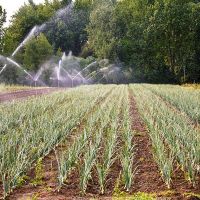 impianti-irrigazione5