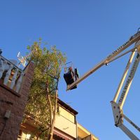 1664213465352 1664213465352