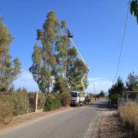 1664213550623 1664213550623