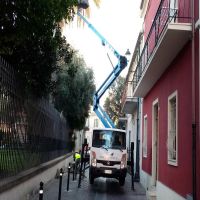 Camion-Cestello-2 Camion-Cestello-2