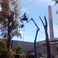 Camion-Cestello-3 Camion-Cestello-3