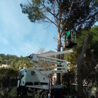 Camion-Cestello Camion-Cestello