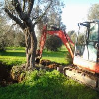 Escavatore Escavatore